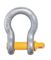 JB Screw Pin Carbon Anchor Bow Shackles